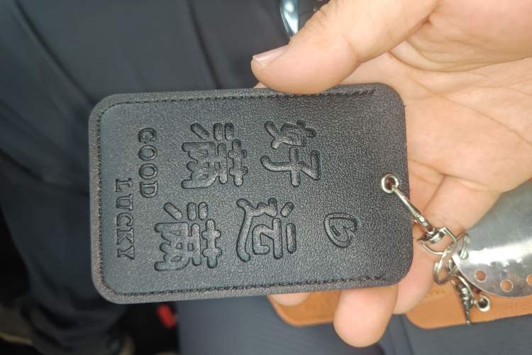 Used Hongqi Tiangong 05 2025 550 Smart Selection