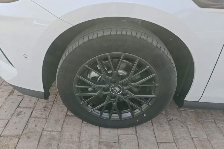 Used BYD Qin PLUS 2025 EV Smart Drive Edition 510KM Leading Model Exterior 4