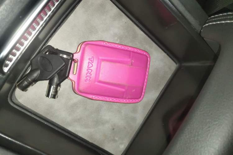 Used Tank 300 2024 2.0T Conqueror
