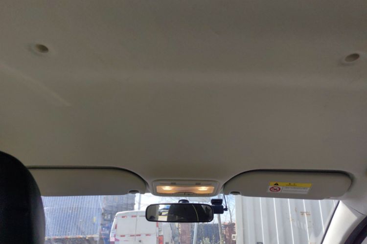 Used SOL E10X 2022 Flower Fairy Design Four-Leaf Clover Headliner