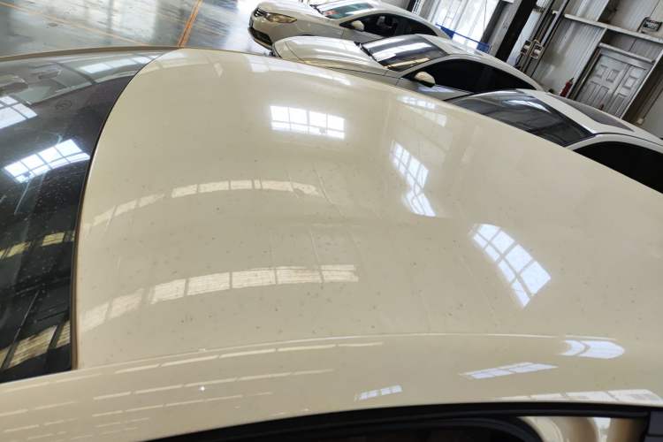 Used BYD Dolphin 2025 420km Free Edition
