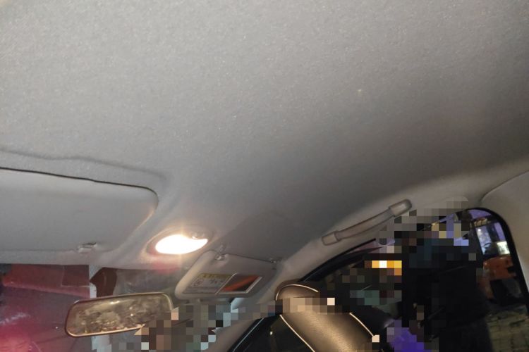 Used Chery Little Ant 2019 4-Seater Smart Edition 35 kWh Headliner