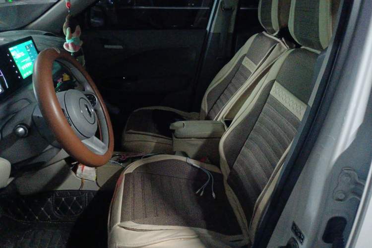 Used ORA White Cat 2020 360 km Luxury Version Left Front Seat