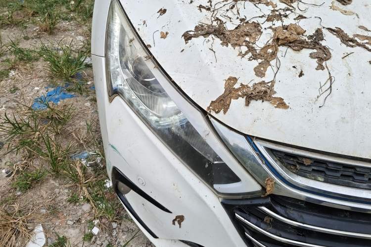 Used BYD Qin New Energy 2017 1.5T Luxury Model
