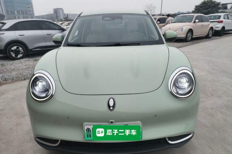 Used ORA Good Cat 2022 Morandi Edition 400km Standard Range Luxury Version Lithium-Ion Battery
