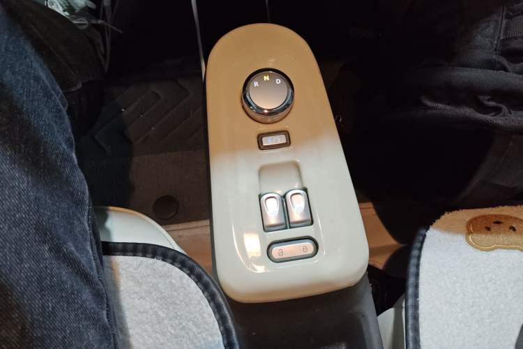 Used Qiyuan Lumin 2023 205km Xiangqin Version
