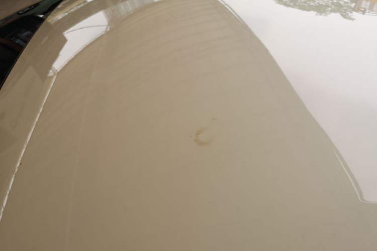 Used BYD Seagull 2023 Free Edition