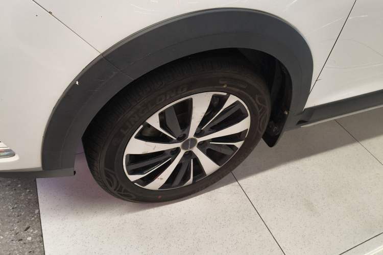 Used FORTHING SX6 2019 1.6L Manual Luxury Model China VI Standard
