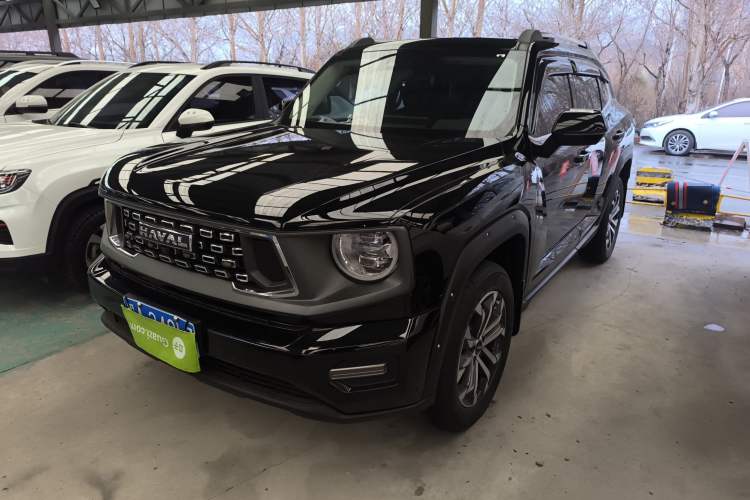 Used Haval H Dog 2023 2.0T Two-Wheel Drive Chaoye Version Plus