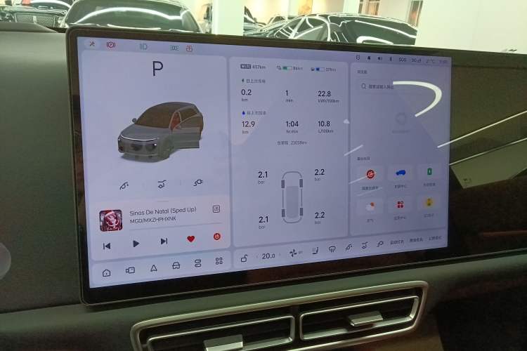 Used Li Auto L6 2024 Pro Model Audio And AC Panel