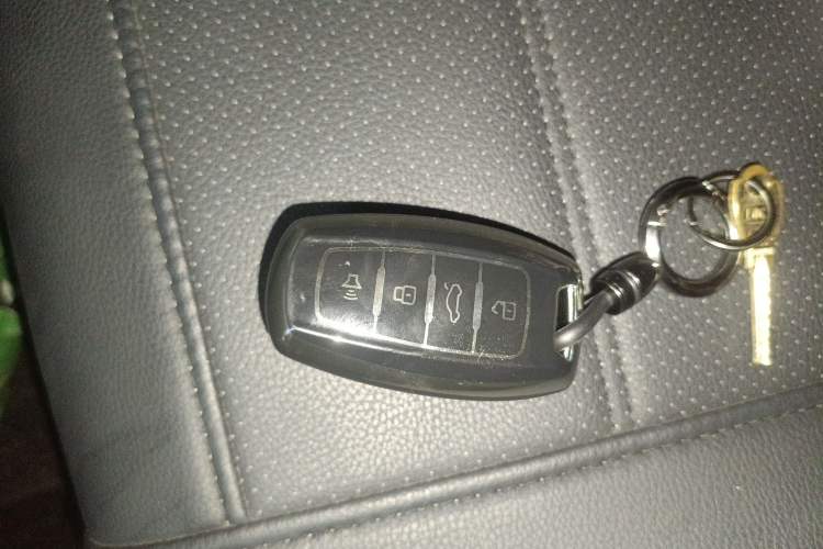 Used ORA Black Cat 2021 301 km Basic Version