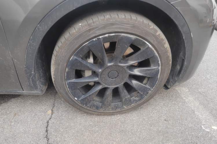 Used Tesla Model Y 2021 Revised Version 2 Long-Range All-Wheel-Drive Edition
