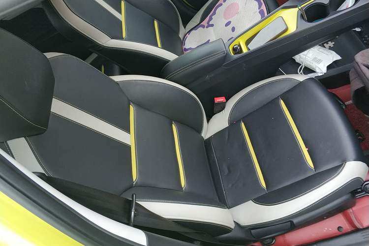 Used SOL E10X 2022 Flower Fairy Style Baby's Breath
