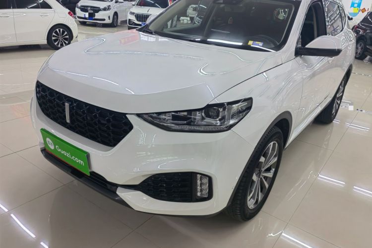 Used Wey VV6 2019 2.0T Two-Wheel-Drive Flagship Version China VI Standard