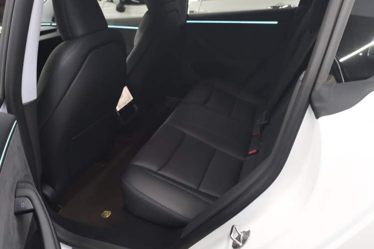 Used Tesla Model 3 2023 Long-Range All-Wheel-Drive Version Left Rear Seat