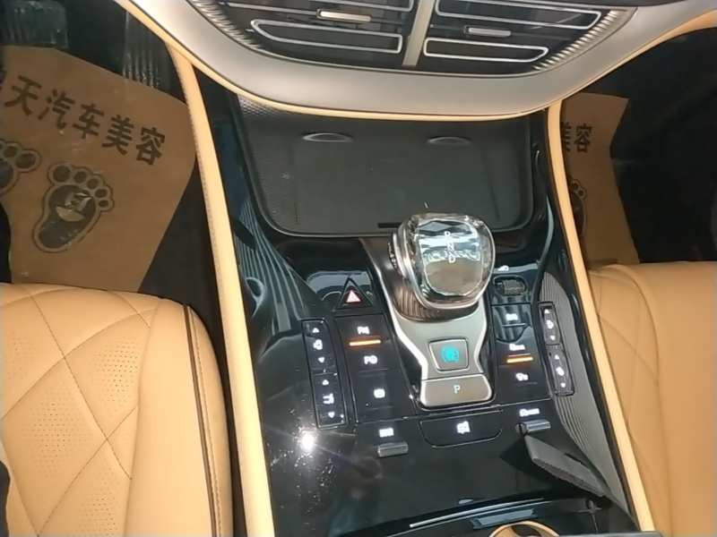 Used Denza D9 2024 EV 600 Four-Wheel-Drive Flagship Model — 13