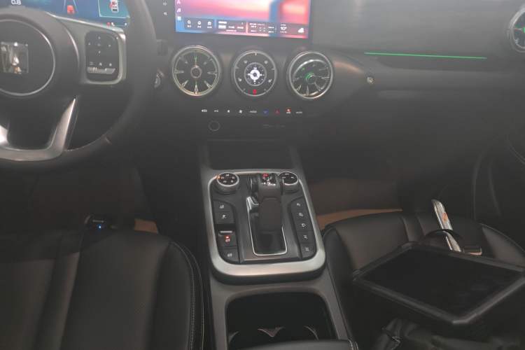 Used Tank 300 2024 2.0T Conqueror