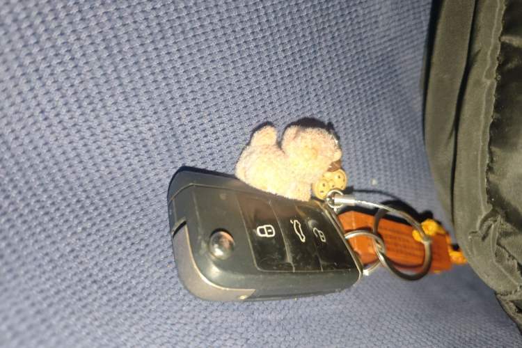 Used Volkswagen Tayron 2019 330TSI Four-Wheel Drive Luxury Version China V Standard Vehicle Key