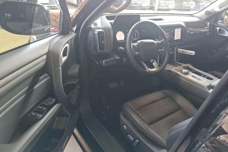 Used Haval DARGO 2024 2.0T DCT Chinese Rural Dog Edition
