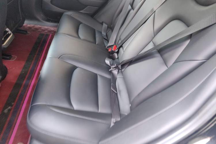 Used Tesla Model 3 2022 Rear-Wheel-Drive Version
