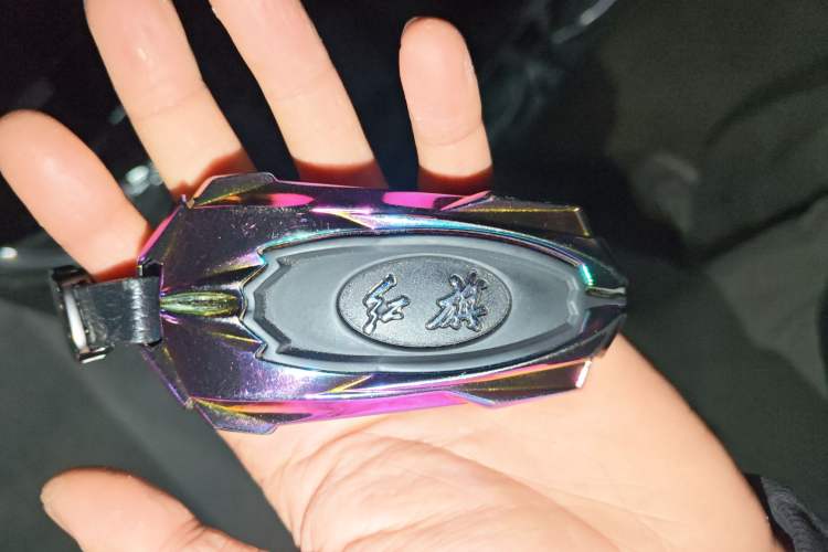 Used Hongqi H9 2020 2.0T Smart Connect Flagship Edition