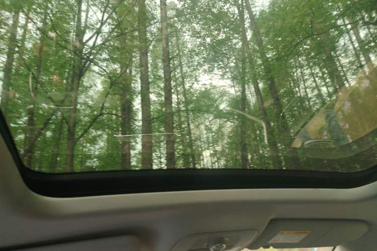 Used Roewe RX5 2018 20T Two-Wheel Drive Automatic Internet Smart Luxury Edition Headliner