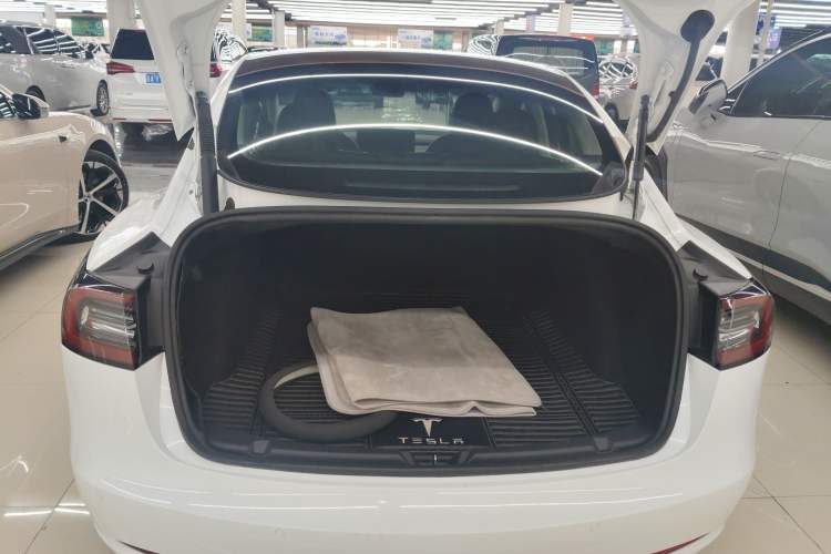 Used Tesla Model 3 2021 Standard Range Rear-Drive Upgraded Version
