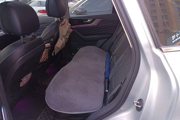 Used Hongqi HS5 2019 2.0T Smart Connect Flagship Edition Left Rear Seat