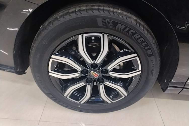 Used Hongqi HQ9 2023 2.0T Smart Connect Flagship Edition
