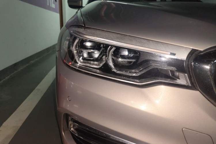 Used BMW 5 Series New Energy 2019 530Le Luxury Package