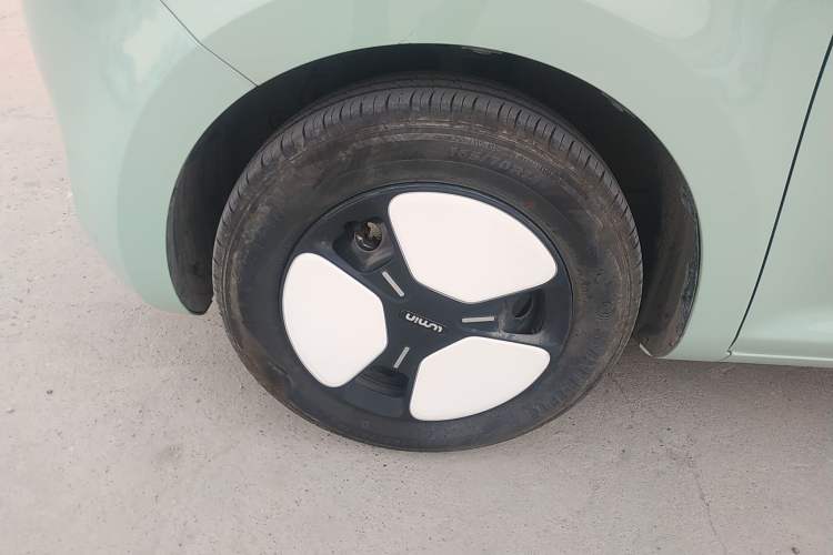Used Qiyuan Lumin 2023 205km Xiangqin Version
