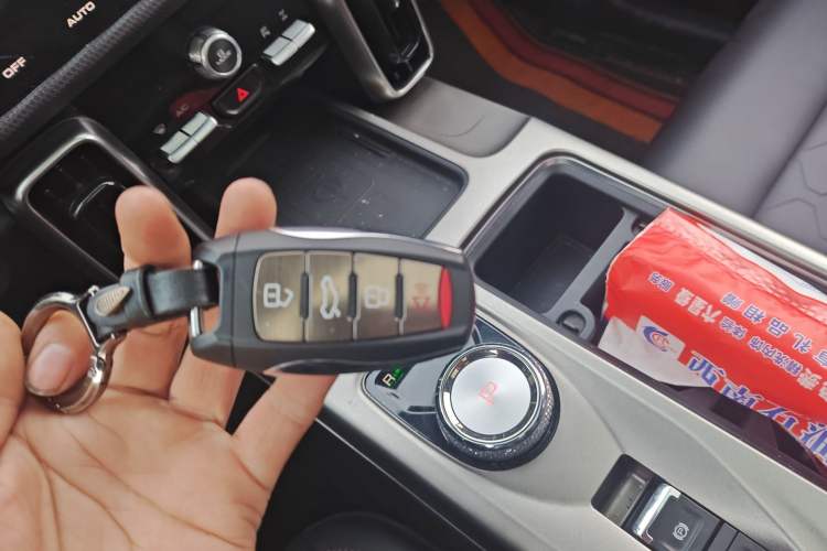 Used Haval DARGO 2024 2.0T DCT Chinese Rural Dog Edition
