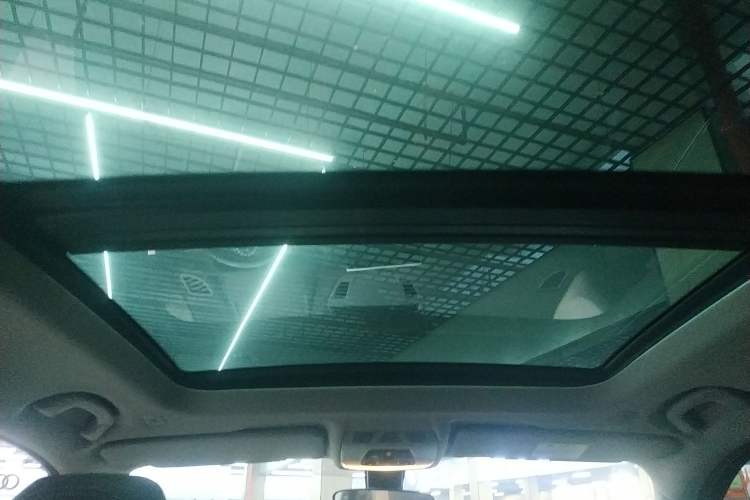 Used BMW X1 2020 sDrive20Li Fashion Model Headliner