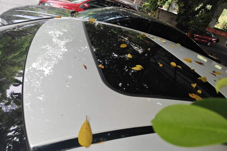 Used Lexus ES 2020 260 Excellence Edition