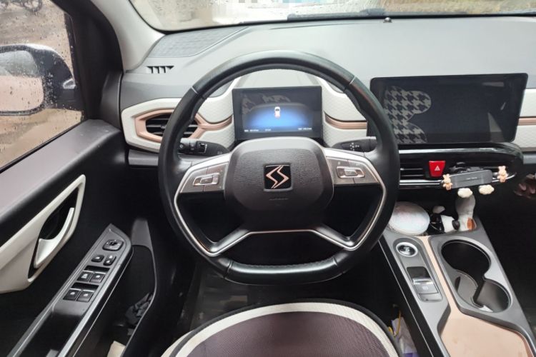 Used SOL E10X 2022 Flower Fairy Style Baby's Breath