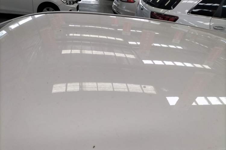 Used NETA V 2021 Long-Range Entertainment Edition Upgrade Model