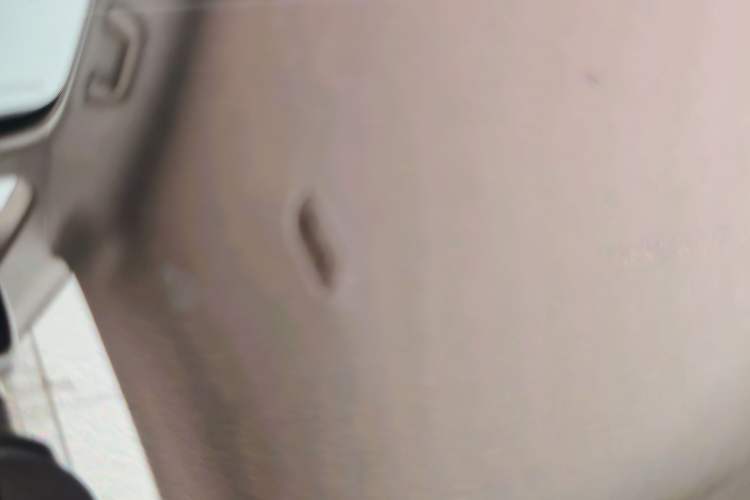 Used BYD Seal 05 DM-i 2025 DM-i Smart Drive 55KM Luxury Model Headliner