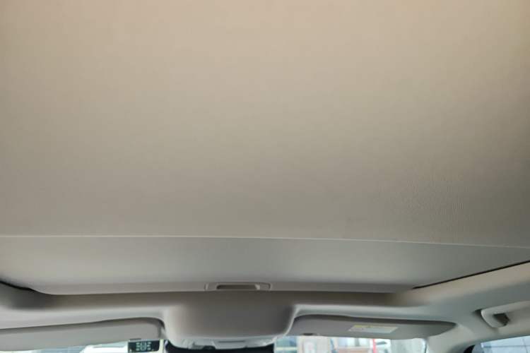 Used Tank 300 2023 2.0T Iron Rider 02 Headliner