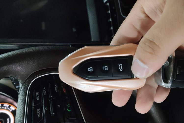 Used Leopaard CS9 2018 1.5T CVT Jingrui Model