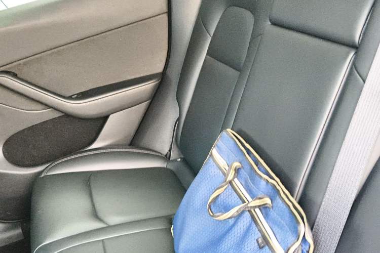 Used Tesla Model Y 2023 Rear-Wheel-Drive Version Left Rear Seat