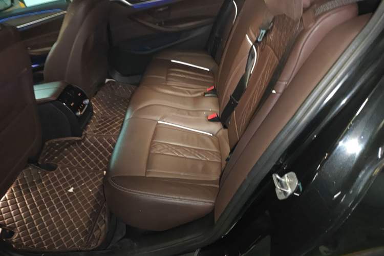 Used BMW 5 Series New Energy 2019 530Le Luxury Package
