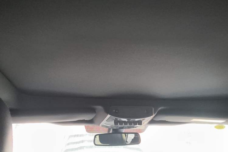 Used Ford F-150 Raptor 2017 3.5T Raptor Performance Enhanced Edition Headliner