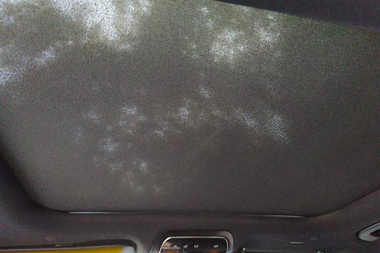 Used Mercedes-Benz C-Class 2023 C 260 L Sport Edition