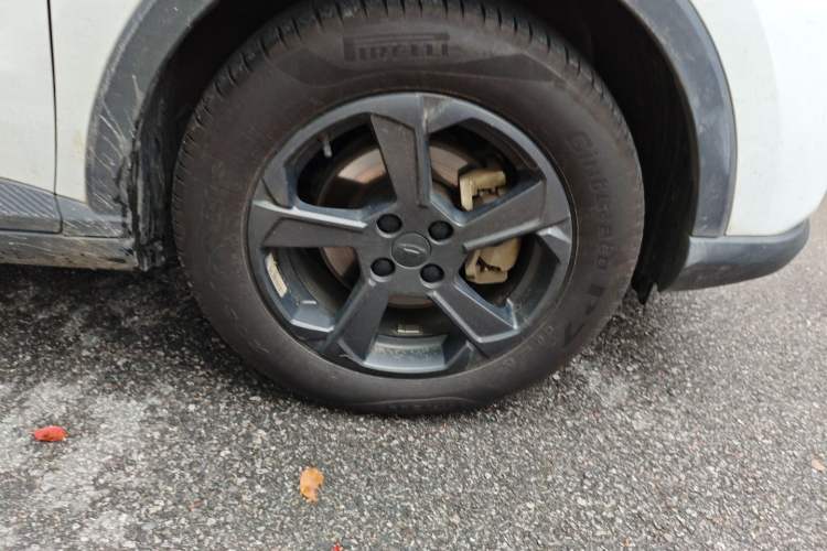 Used Geometry E Firefly 2022 320KM Cute Tiger 4-Seater
