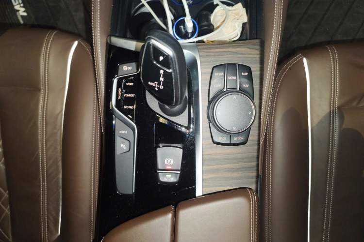 Used BMW 5 Series New Energy 2019 530Le Luxury Package