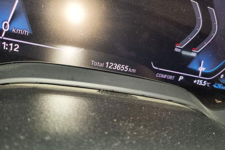 Used BMW 5 Series New Energy 2020 Mileage Upgrade Version 530Le Luxury Package Odometer Close Up