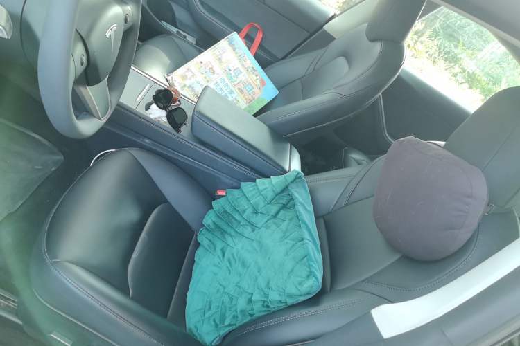 Used Tesla Model 3 2022 Rear-Wheel-Drive Version
