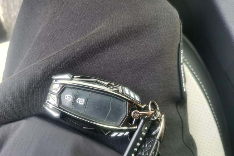 Used Toyota Wildlander 2023 2.0L CVT Two-Wheel Drive Luxury PLUS Edition Vehicle Key