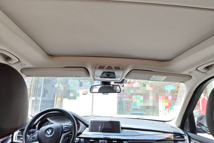 Used BMW X5 2018 xDrive35i Elegant Edition Headliner