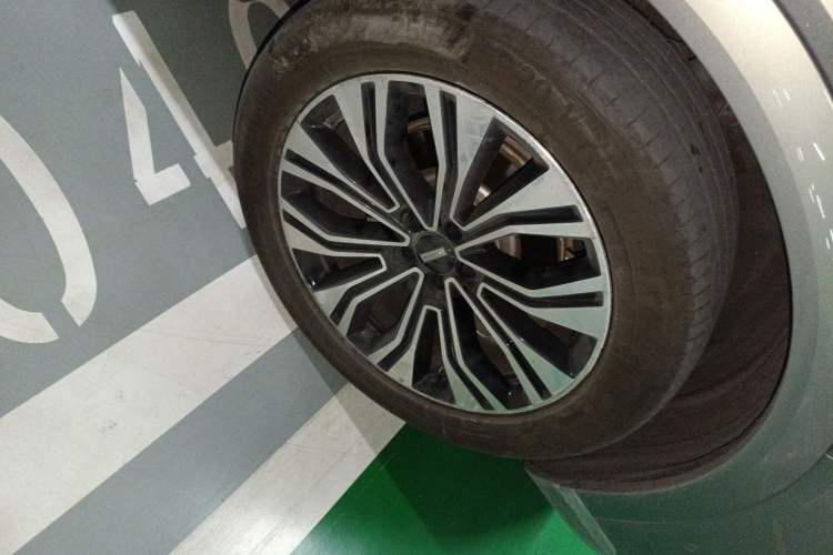 Used Wey Lanshan 2023 Four-Wheel Drive Ultra-Long Range Version